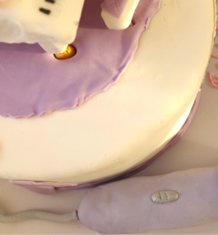 Gâteau thème musical (Violetta)