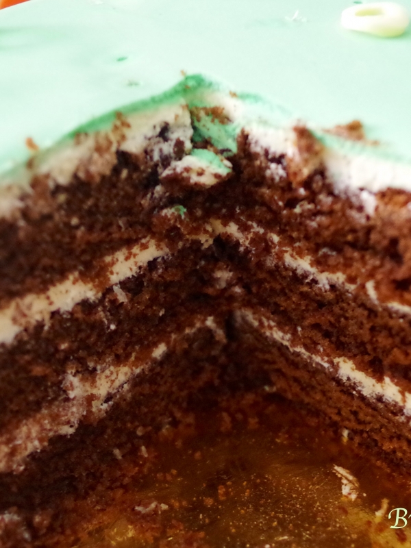 Gâteau Sonic (Cake Design)