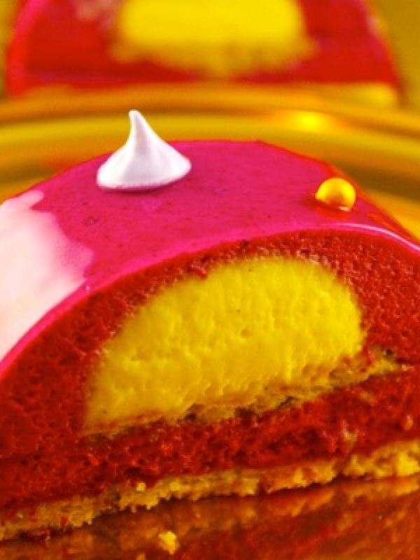 Bûche cassis vanille