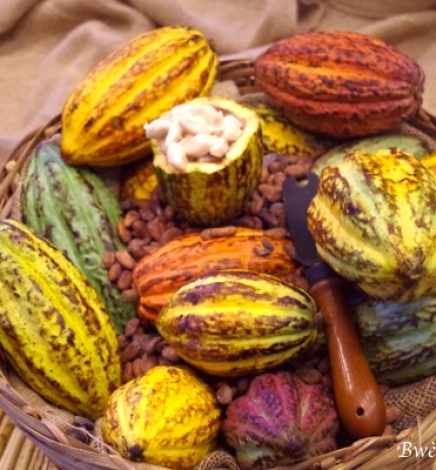 21ème édition du Salon du Chocolat-2 invitations à gagner