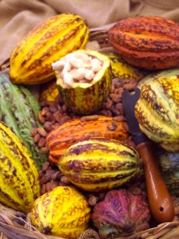 21ème édition du Salon du Chocolat-2 invitations à gagner