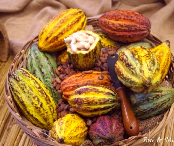 21ème édition du Salon du Chocolat-2 invitations à gagner