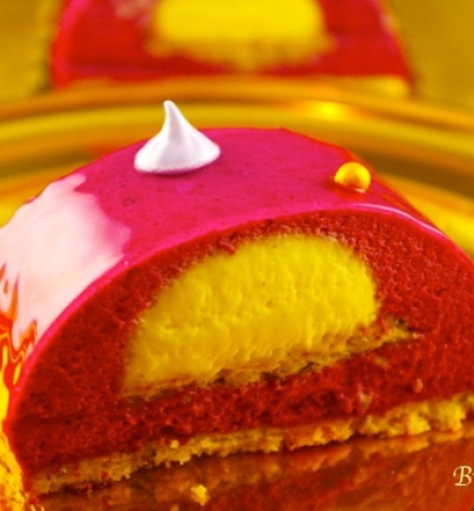 Bûche cassis vanille