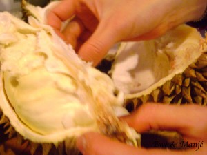 durian fruit qui pue