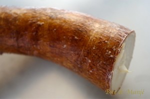 manioc