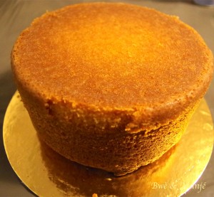 vanillia sponge cake